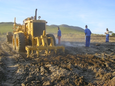 Bioremediation Project